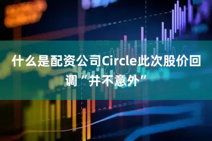 什么是配资公司Circle此次股价回调“并不意外”