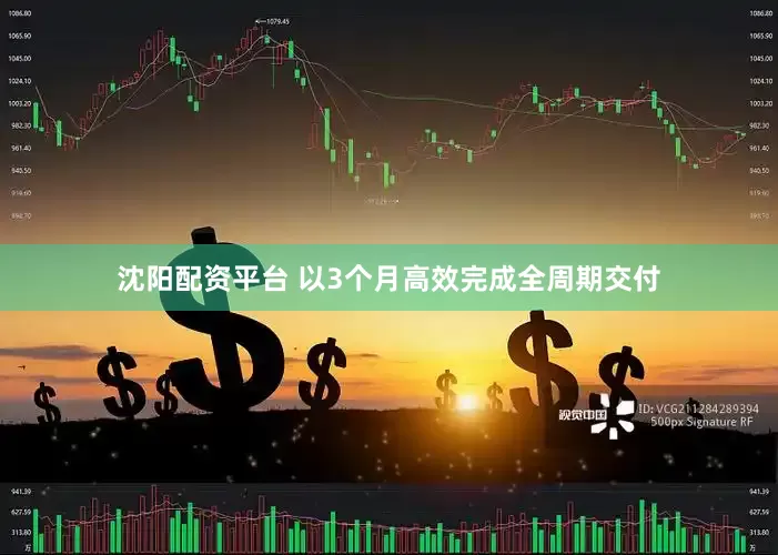 沈阳配资平台 以3个月高效完成全周期交付