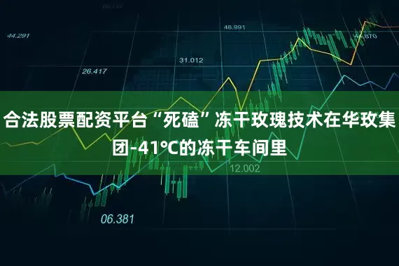 合法股票配资平台“死磕”冻干玫瑰技术在华玫集团-41℃的冻干车间里