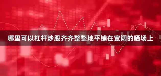 哪里可以杠杆炒股齐齐整整地平铺在宽阔的晒场上