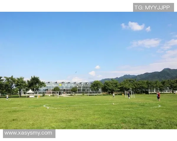 合肥足球热潮来袭一站式购物体验助你轻松购齐足球装备